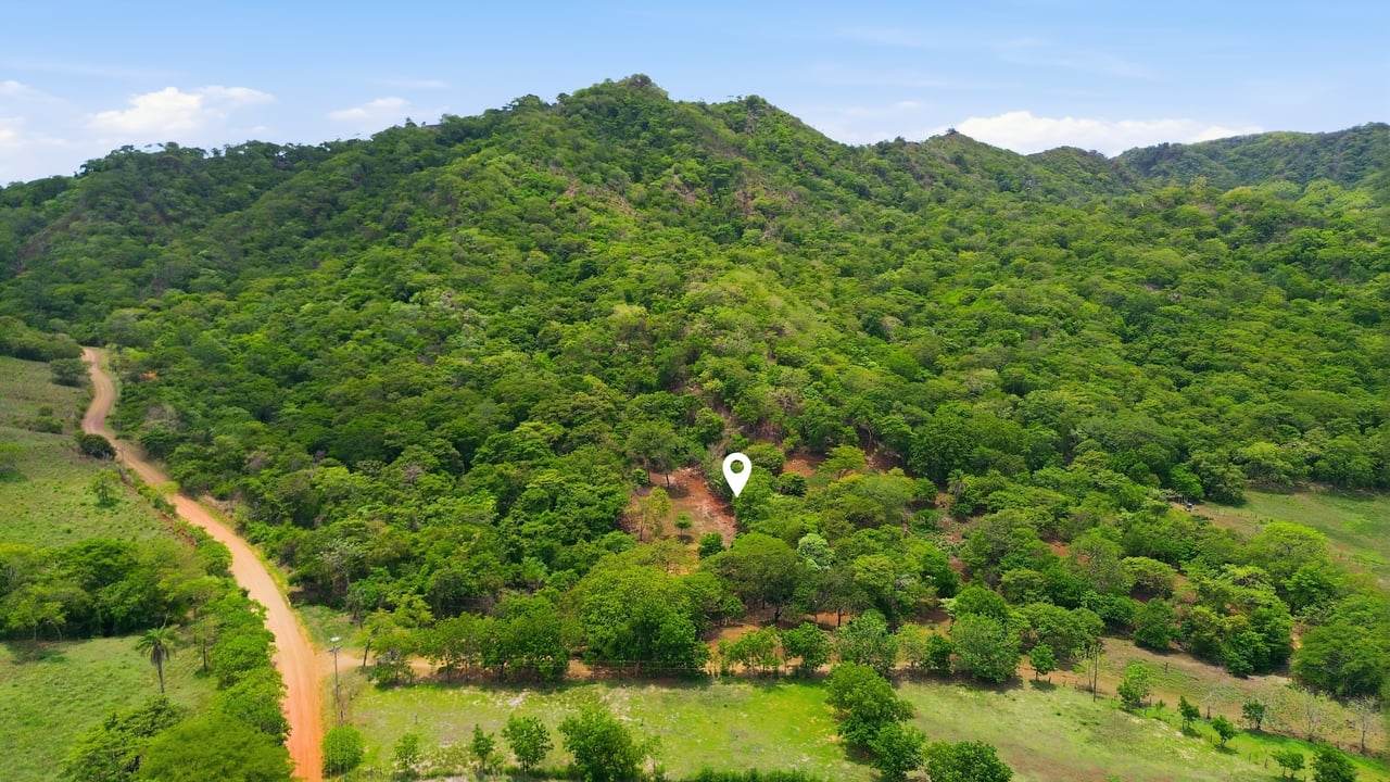 3.4 Acres of Quiet Country Living | 12 minutes from the Beach - Tempate 