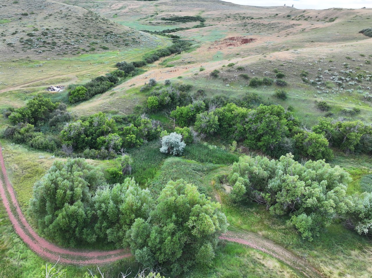 Dutch Creek Ranch 