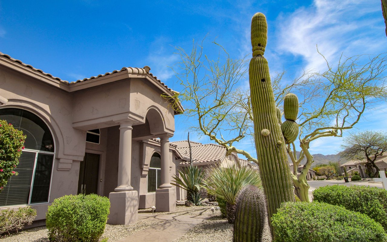 Stucco homes with tiled roofs and tall saguaro cacti in a desert-landscaped neighborhood.