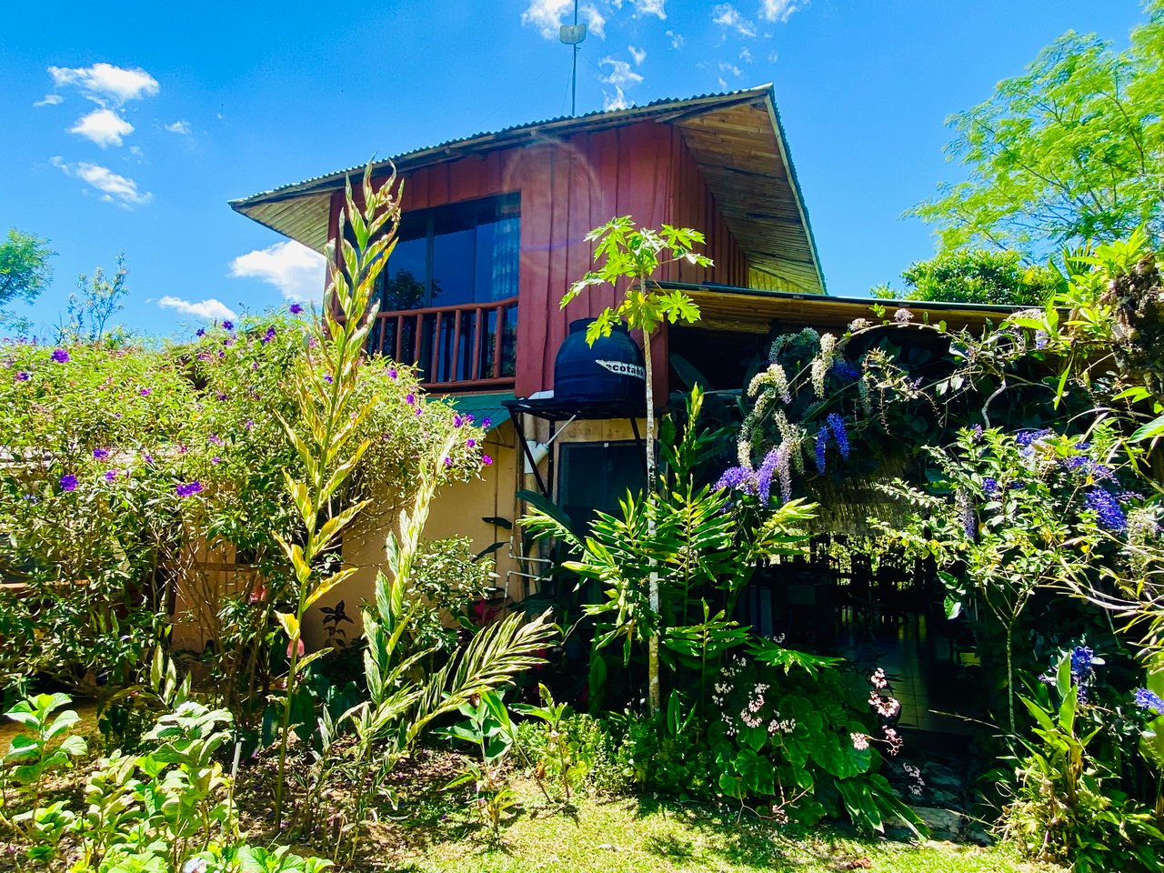 Permaculture Organic Homestead with 2 Houses in Siete Colinas