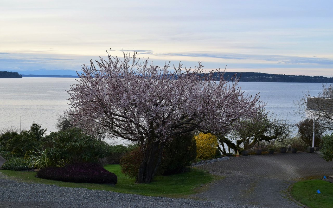 Steilacoom