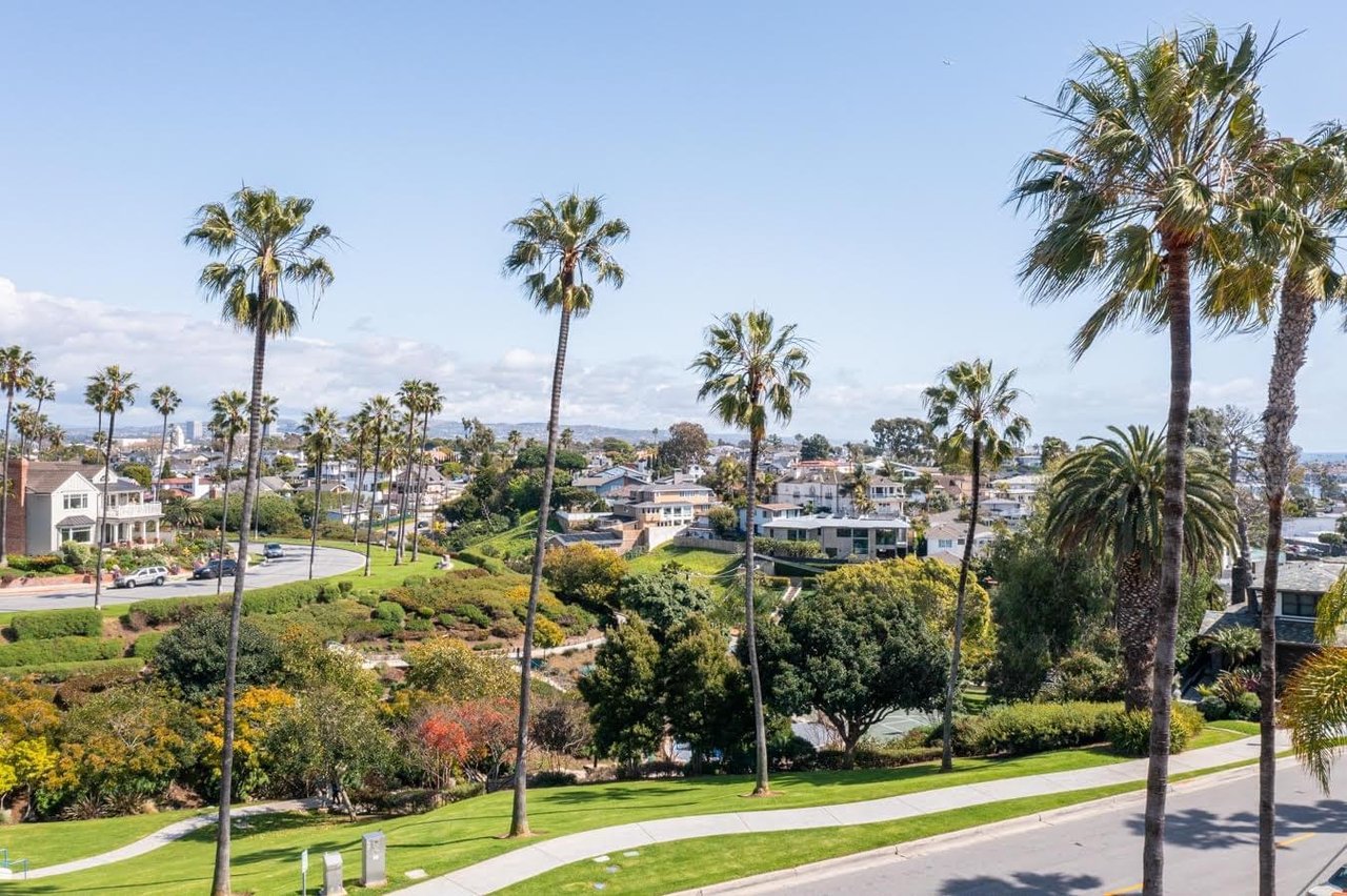  A sunny park with lush green grass and a pathway, lined with tall palm trees, overlooking a residential neighborhood.