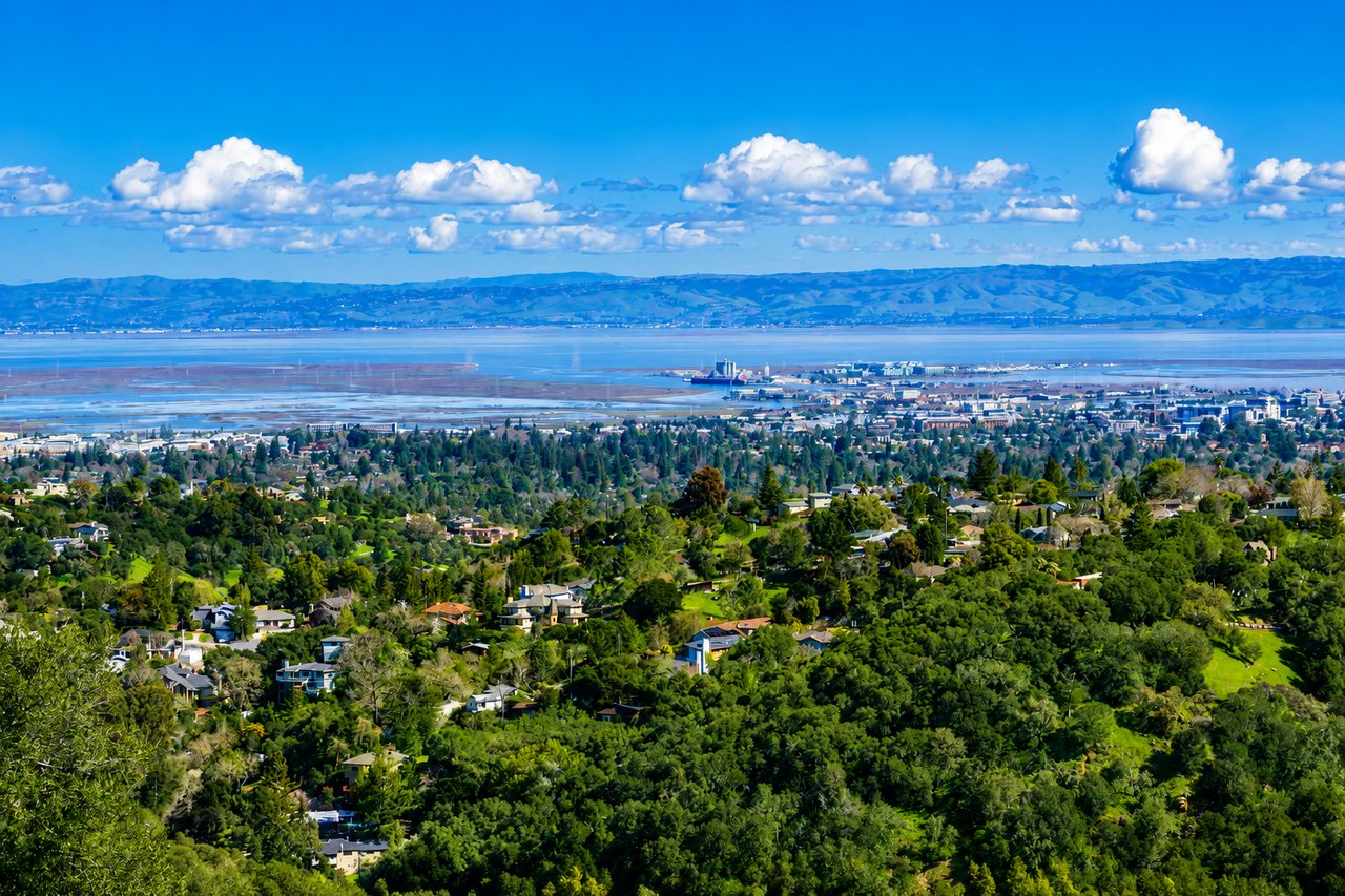 Scenic aerial view of Redwood City with lush residential neighborhoods, San Francisco Bay, and distant rolling hills.