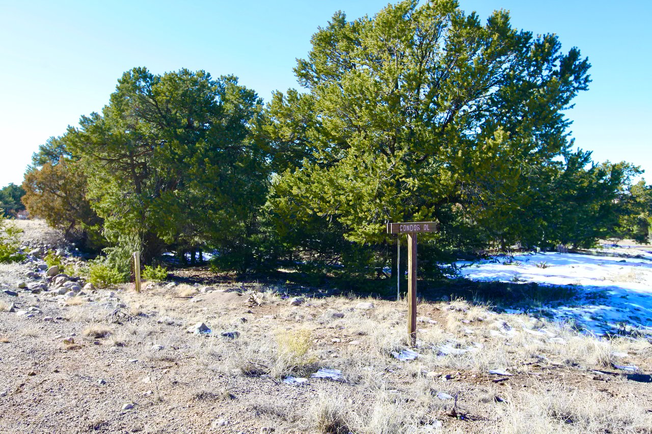 Condor Overlook Homesite