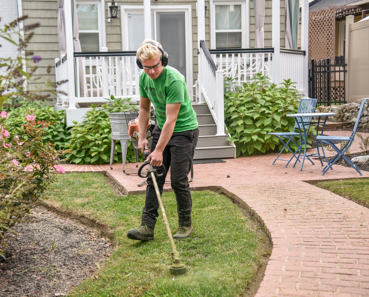 The Role of Landscaping in Boosting Your Home's Aesthetic Appeal