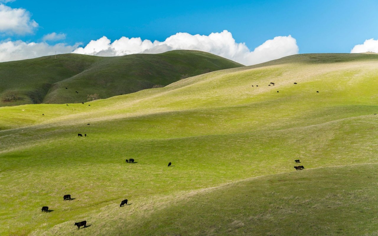 Hollister Ranch