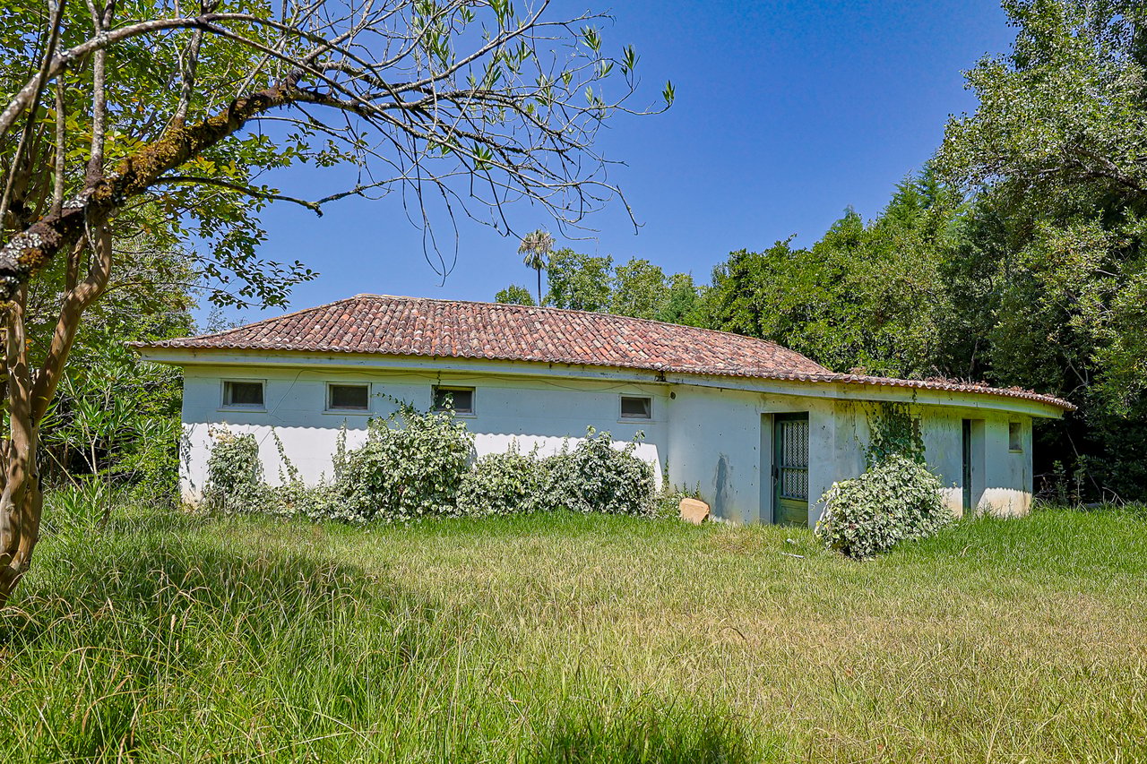 Magnificent 17th-Century Palace with  76,400 m² Estate Near Coimbra
