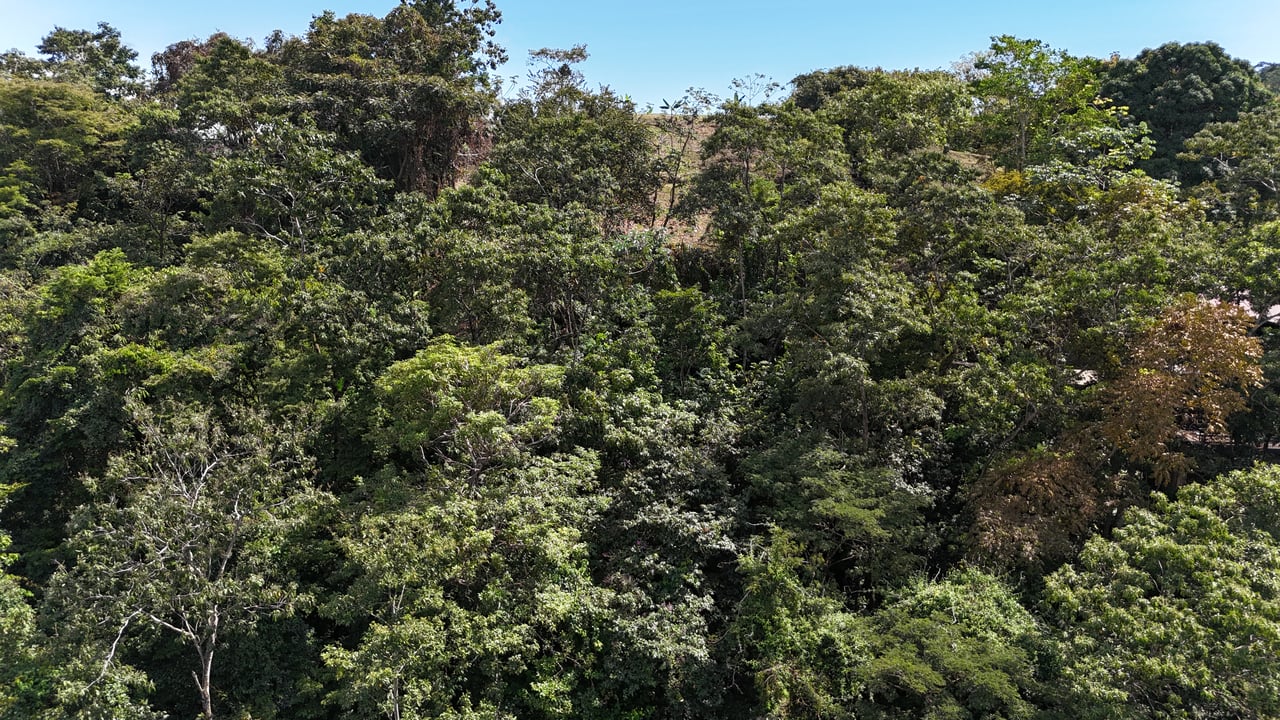 Luxury Gated Ocean-View Land Minutes from Manuel Antonio National Park and Marina