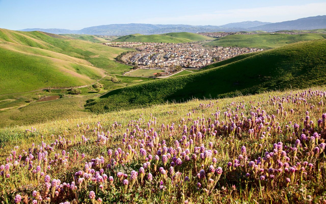 San Ramon