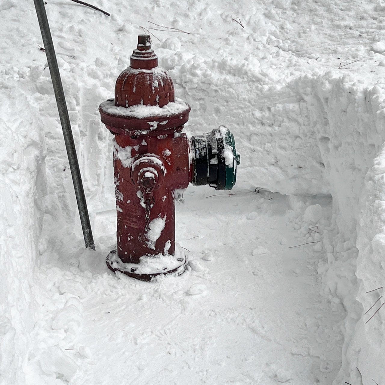 Adopt-a-Hydrant and Protect Your Neighborhood cover