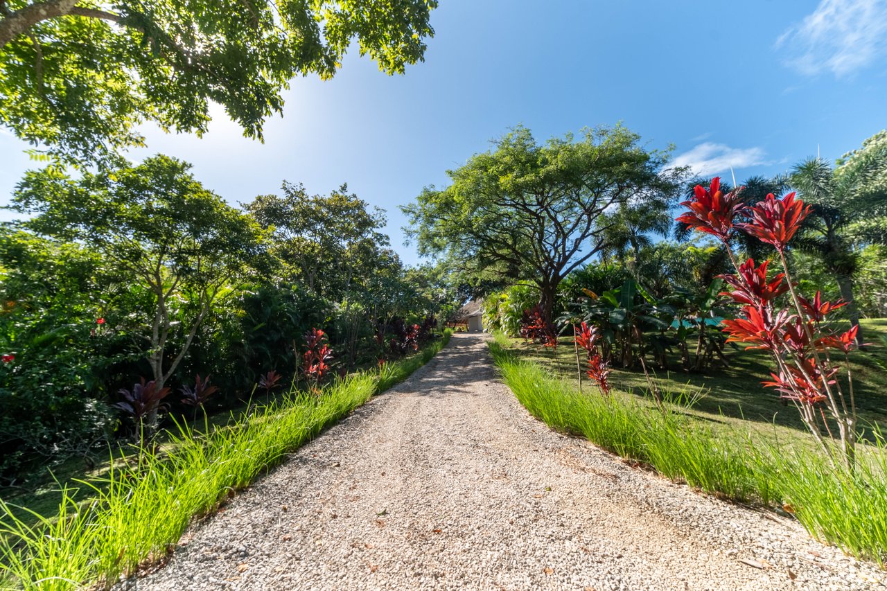Mikado Natural Lodge | Turnkey Eco Lodge with Ocean Views & Expansion Potential in Guanacaste