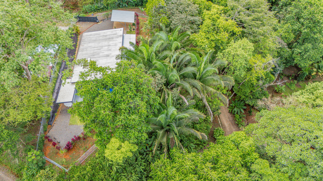 Modern 3-Bed Jungle Home with River and Pool in Cinco Ventanas Ojochal