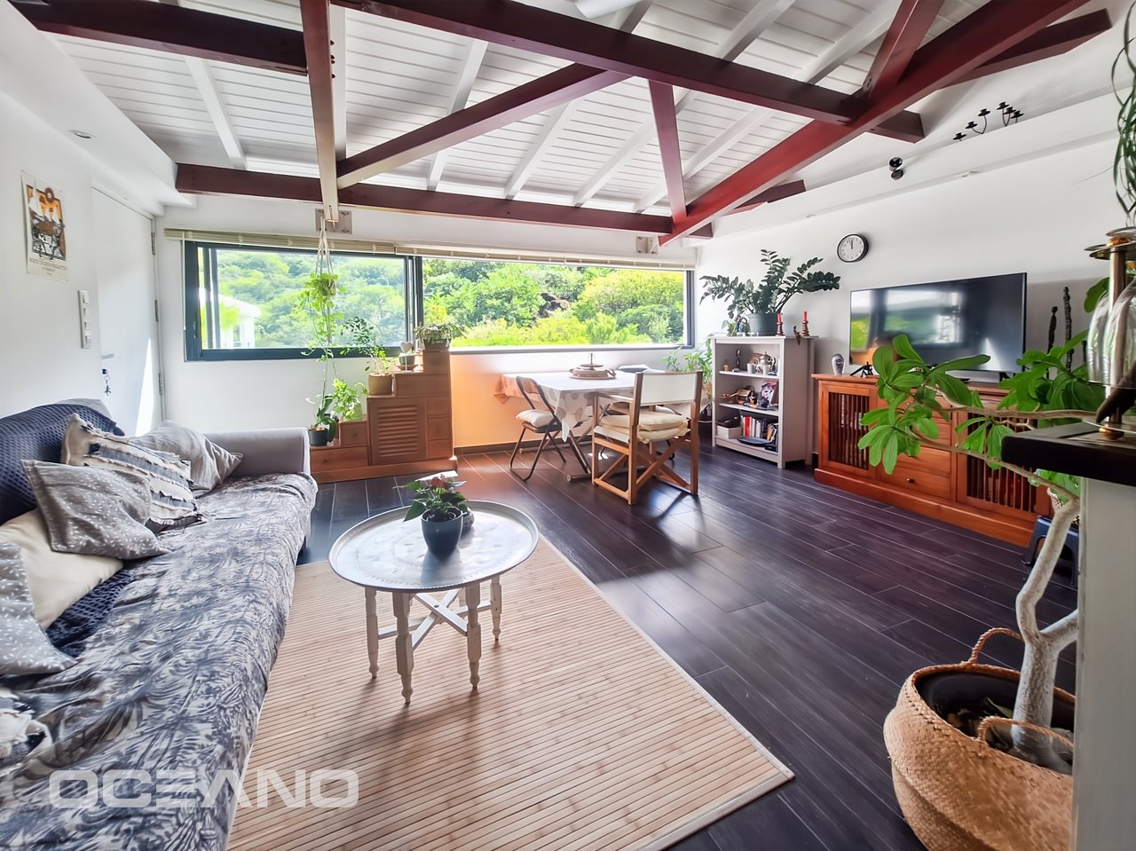 2 bedrooms apartment - Anse Marcel