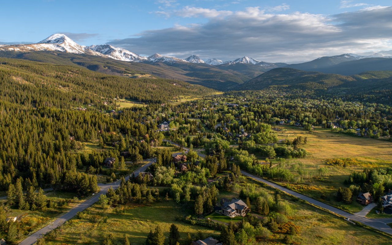 Hidden Forest