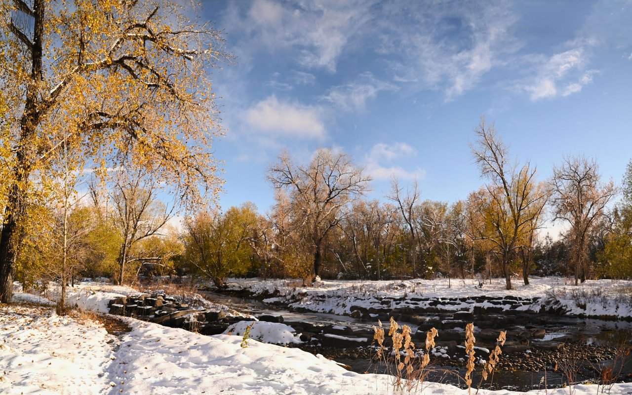 Wheat Ridge