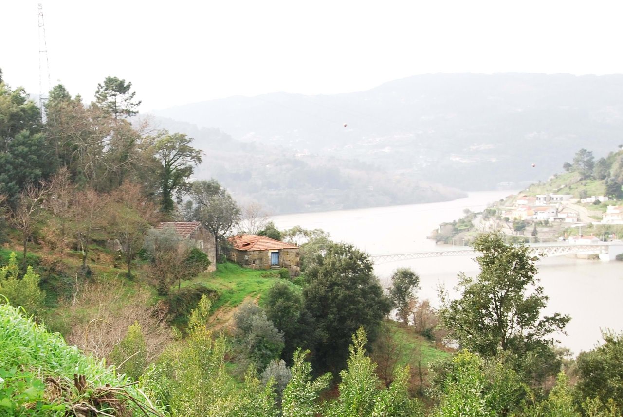 Rare Approved Douro Riverfront Project – A Unique Investment Opportunity!