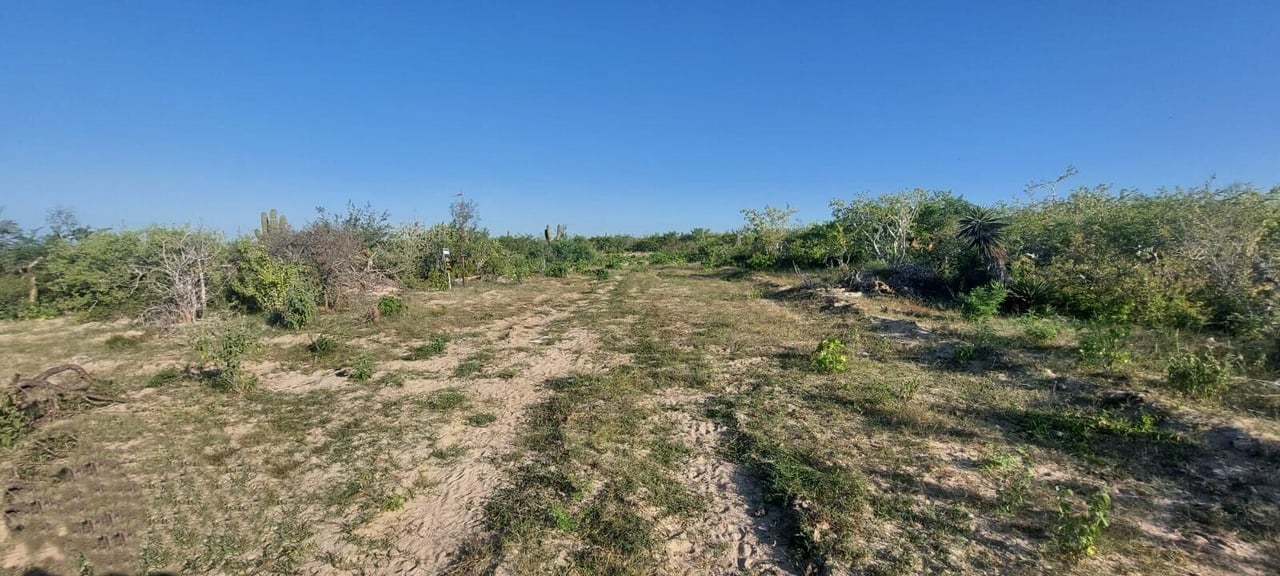 Las Playitas Nature Lot
