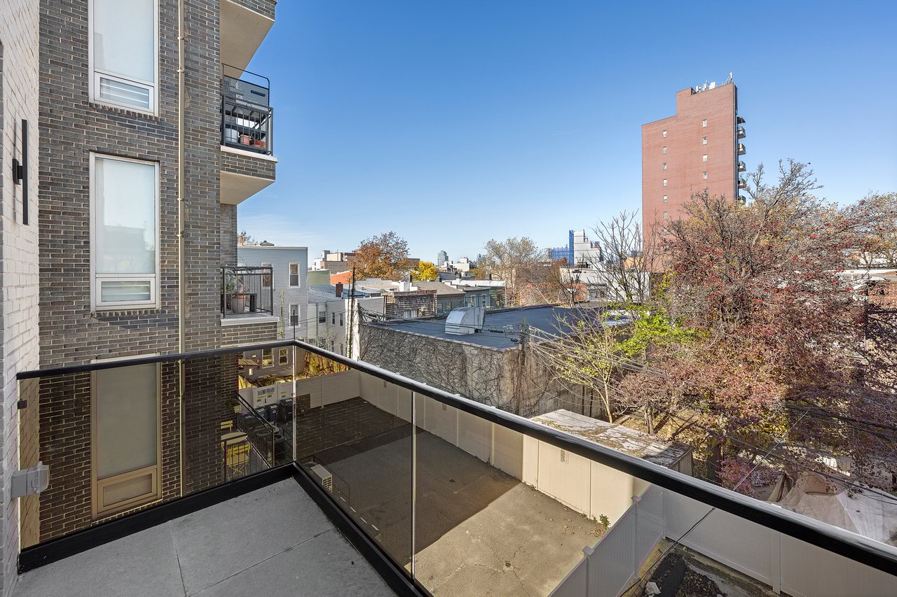 229 WITHERS Street 3D