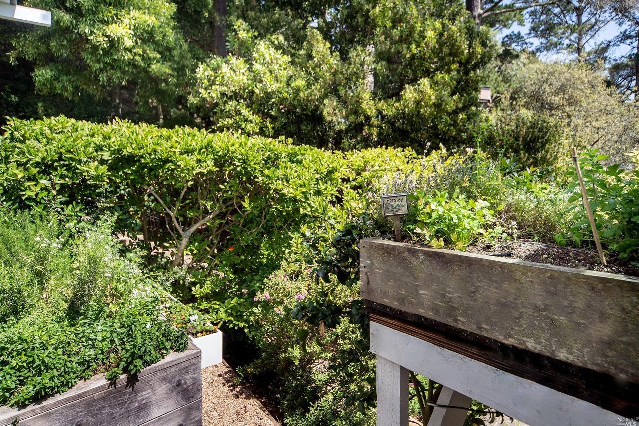 106 Mount Tiburon Rd