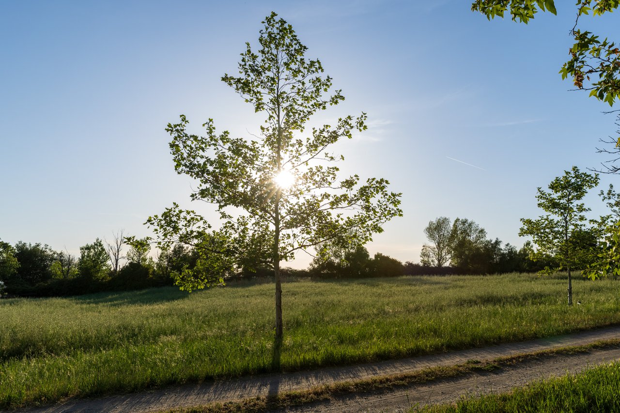 Rancho Estates Opportunity