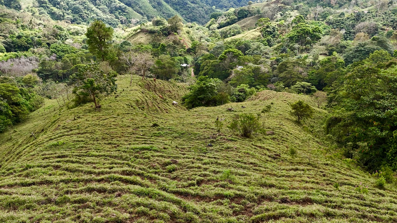 Gorgeous Land in San Luis Morete - Uvita - Over 17 Acres