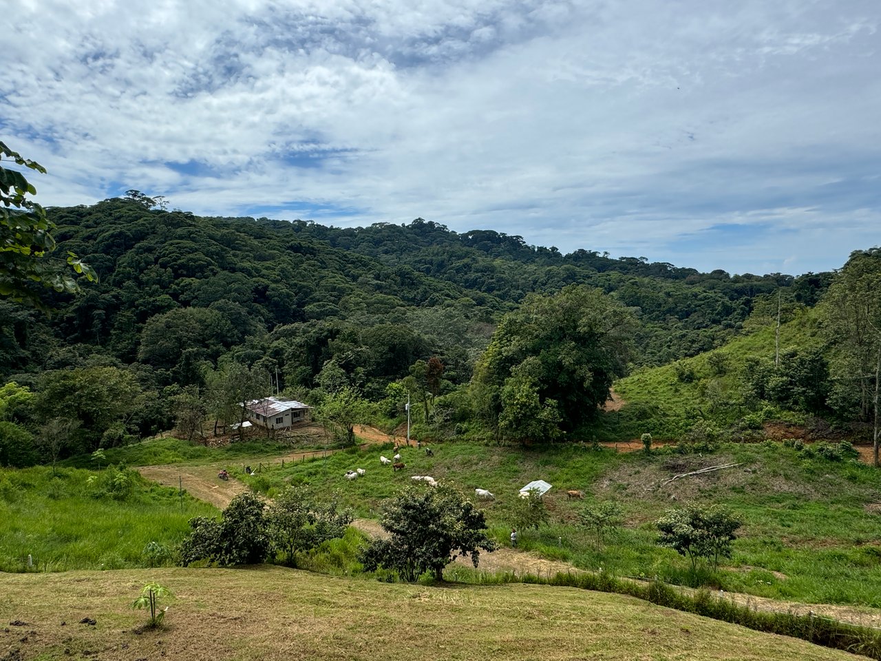 2.6 ACRES – 3 Bedroom Home With Beautiful Views, Several More Building Sites, Perfect For Small Farm!!!