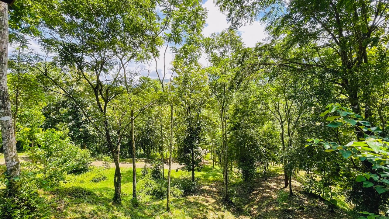 Mountain Chalet on 6.3 Acres with Stables & Panoramic Views