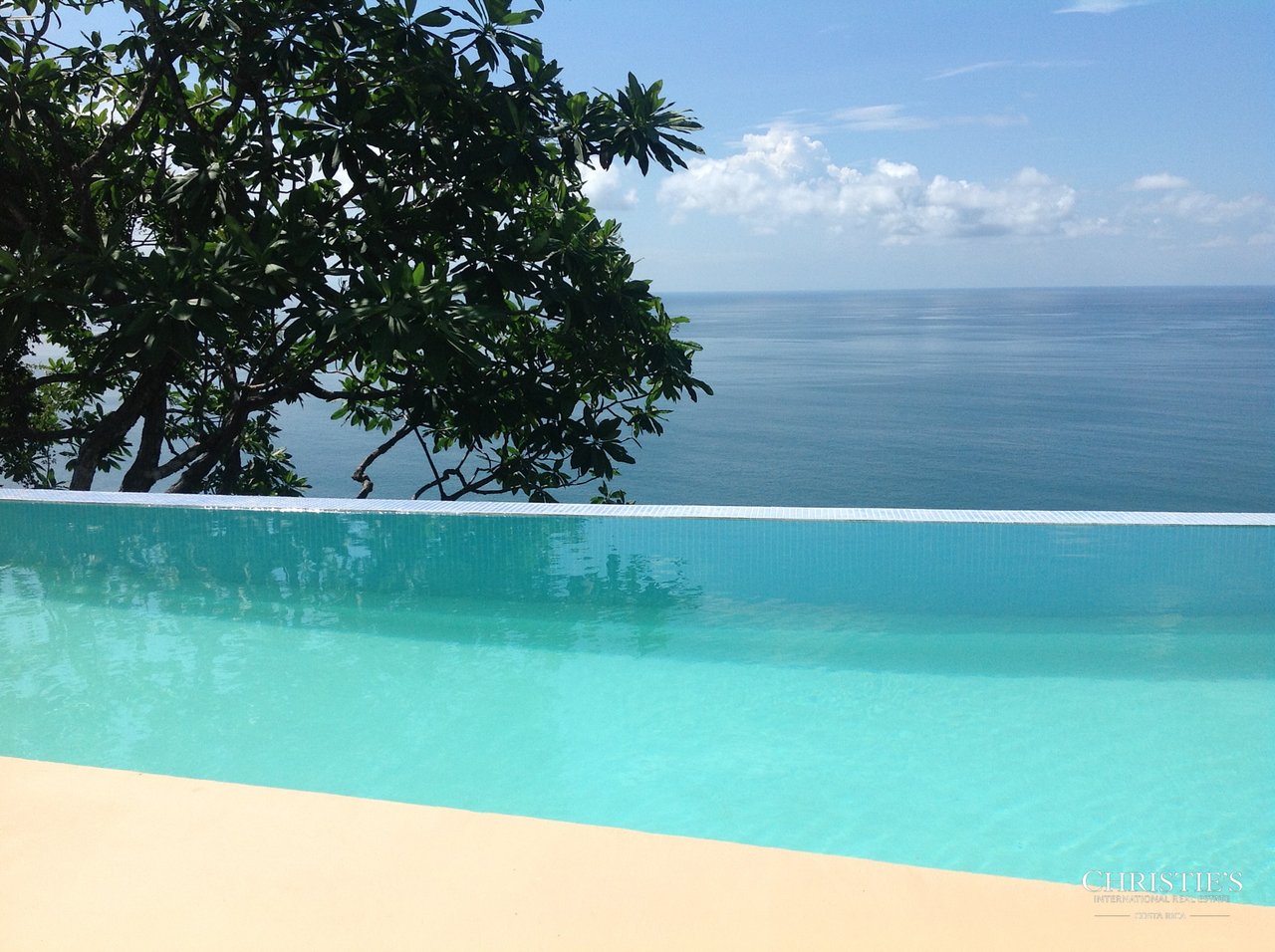 Jungle and Ocean Architectural Masterpiece