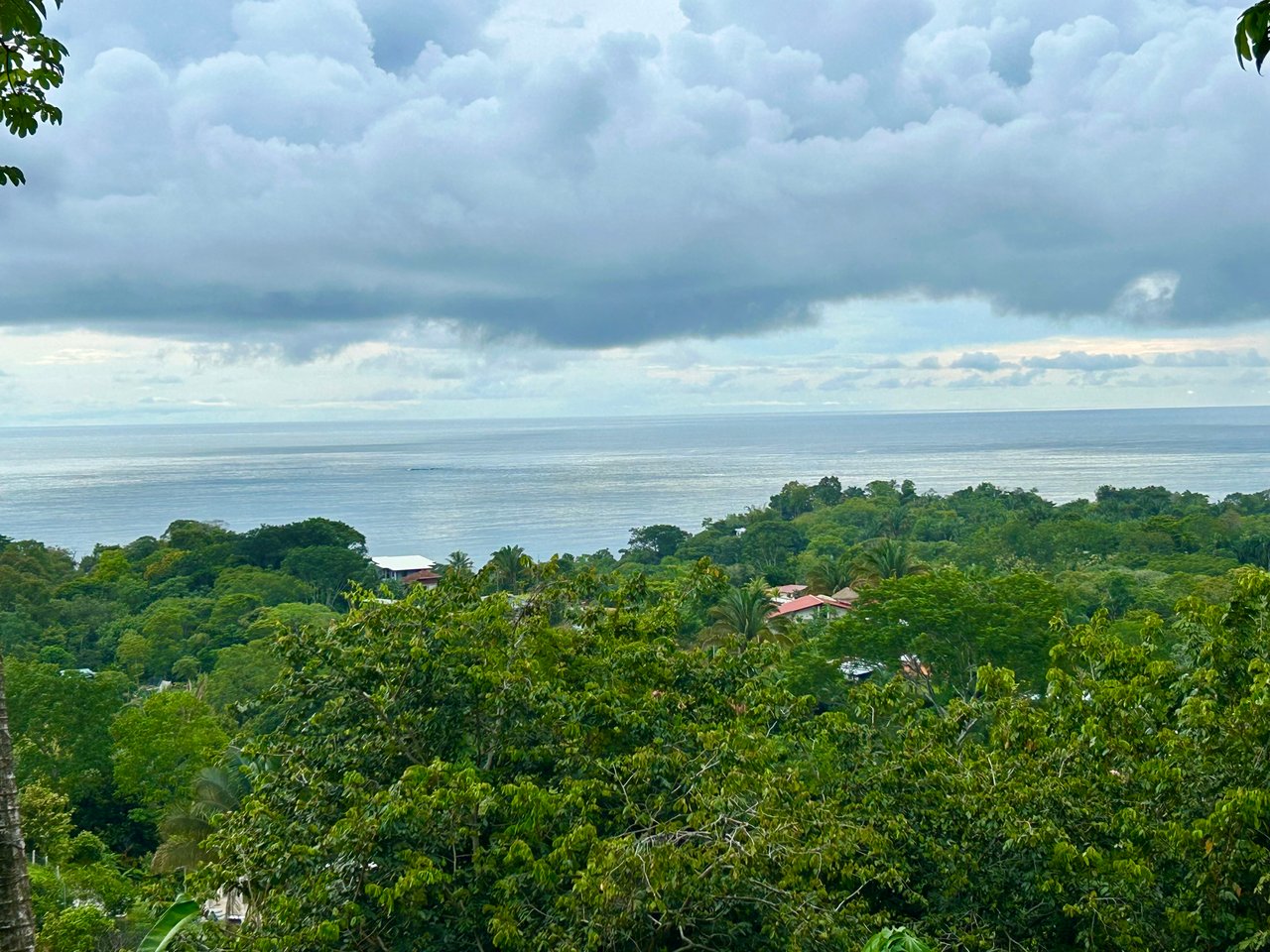 Ocean View Property in Playa Hermosa - Over 1 Acre