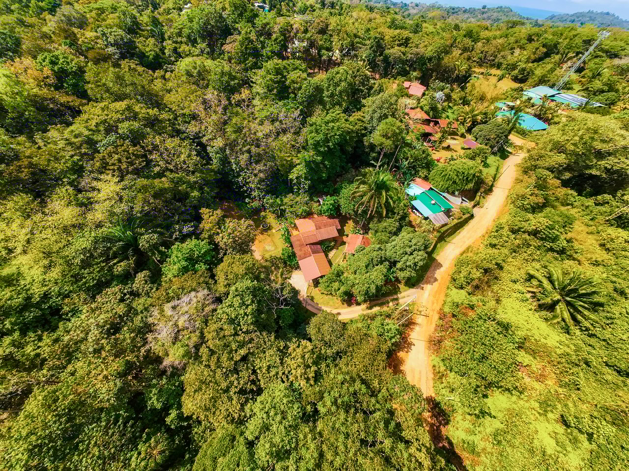 Serene Jungle Home + Guest Cabin on 3 Acres and River