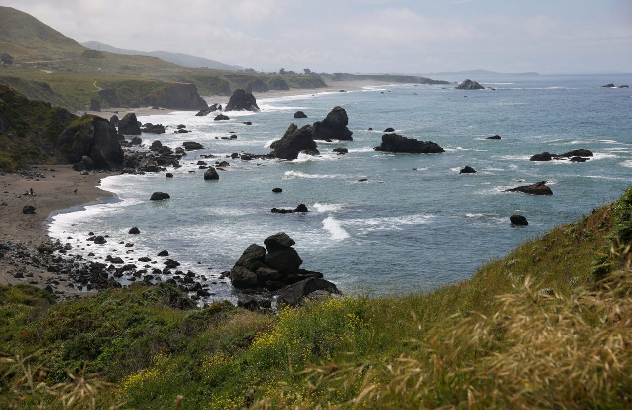 7 Nature Journaling Tips From Sonoma County Naturalist Sarah Reid