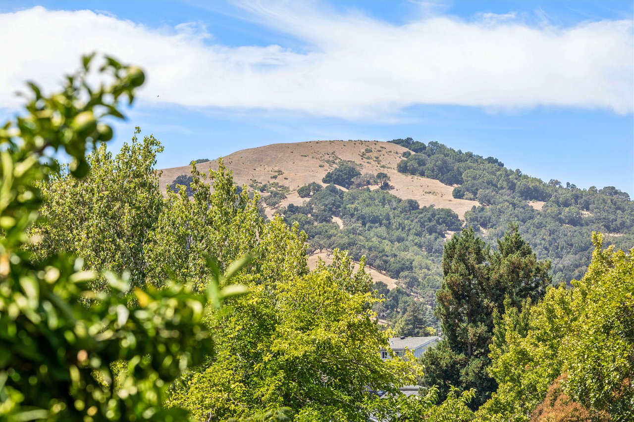 Off-Market Home Sales in Novato (2026)