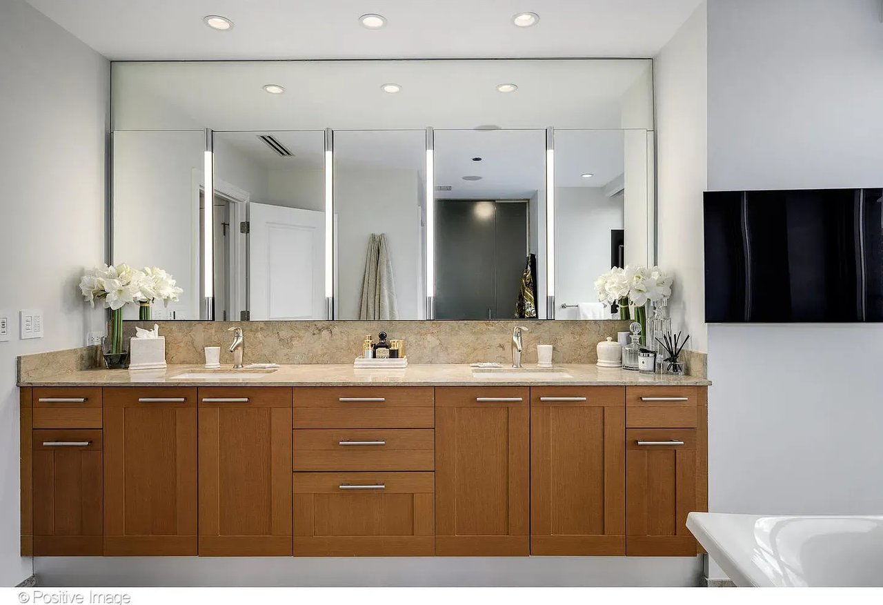 11 E Walton St APT 4102