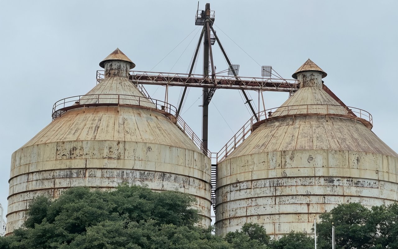 A Visit to Magnolia in Waco, With My Two Sons