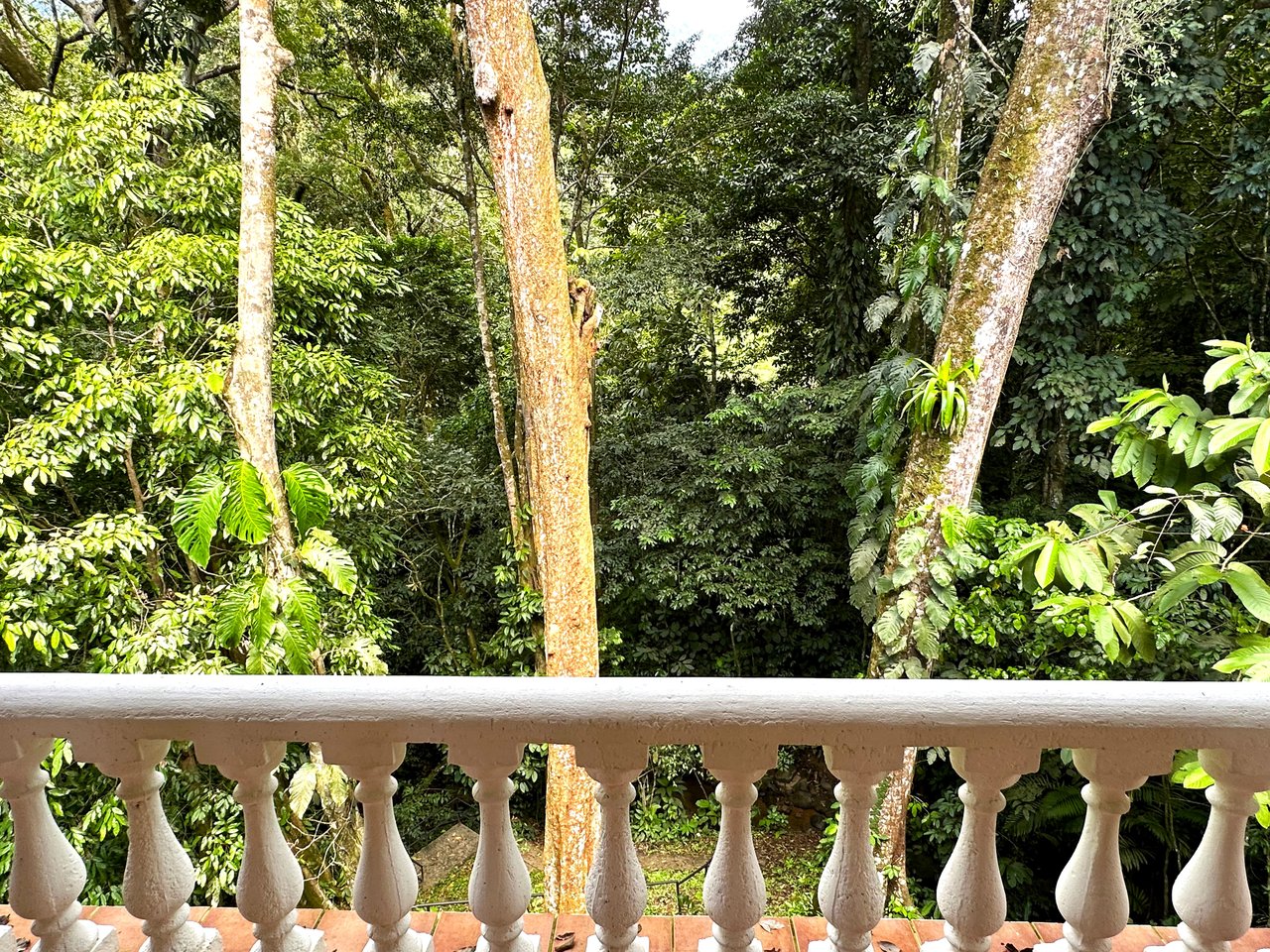 FIRE SALE! Jungle, Rivers, a Waterfall and Panoramic Ocean View