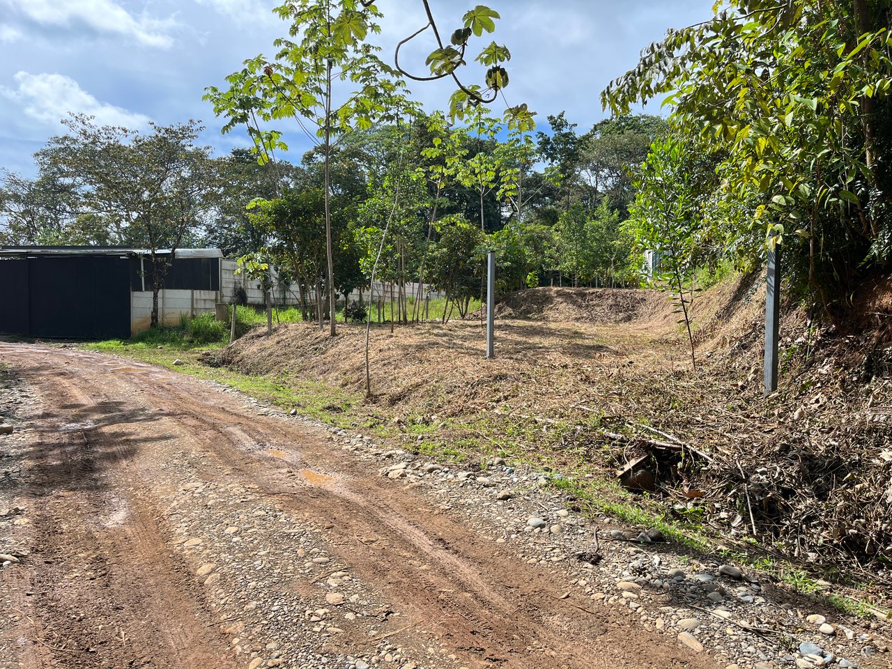 Affordable Uvita Lot UNDER $200-per-sqm - Perfect for Your Dream Home or Airbnb Investment