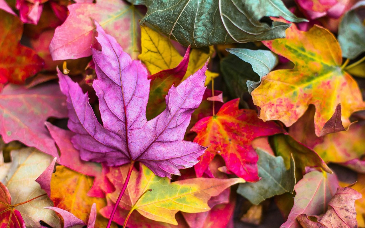 Preping Your Home For Fall