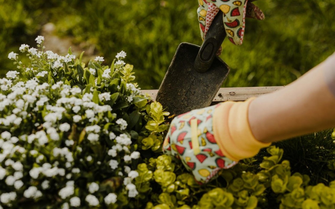 Curb Appeal Hacks That Make Buyers Fall in Love