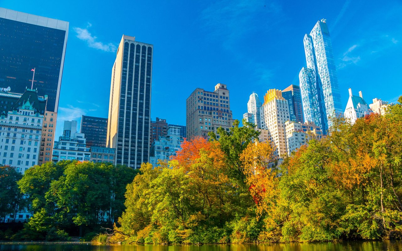 Morningside / Lenox Park