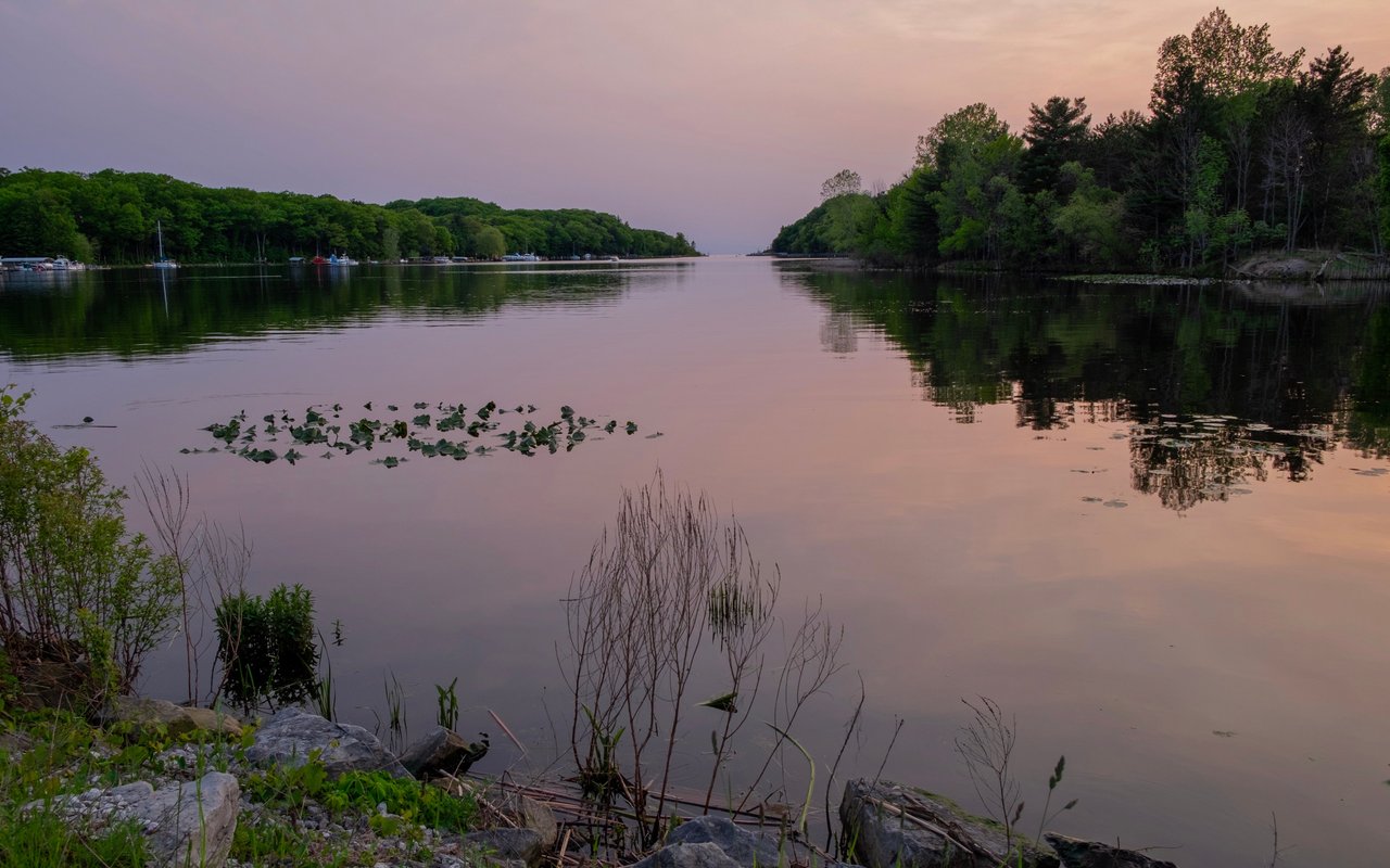 Commerce Township