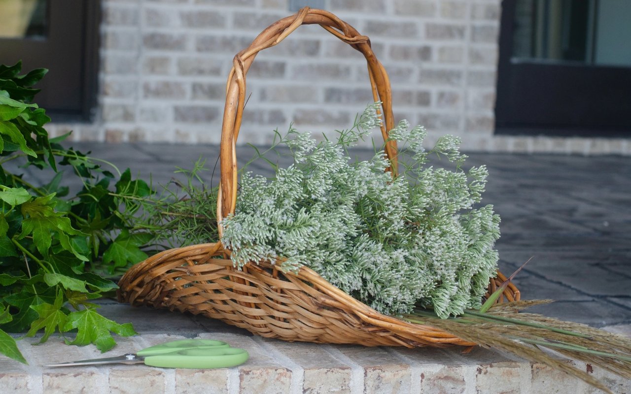 New Findings... 100% of Weeds are Beautiful 