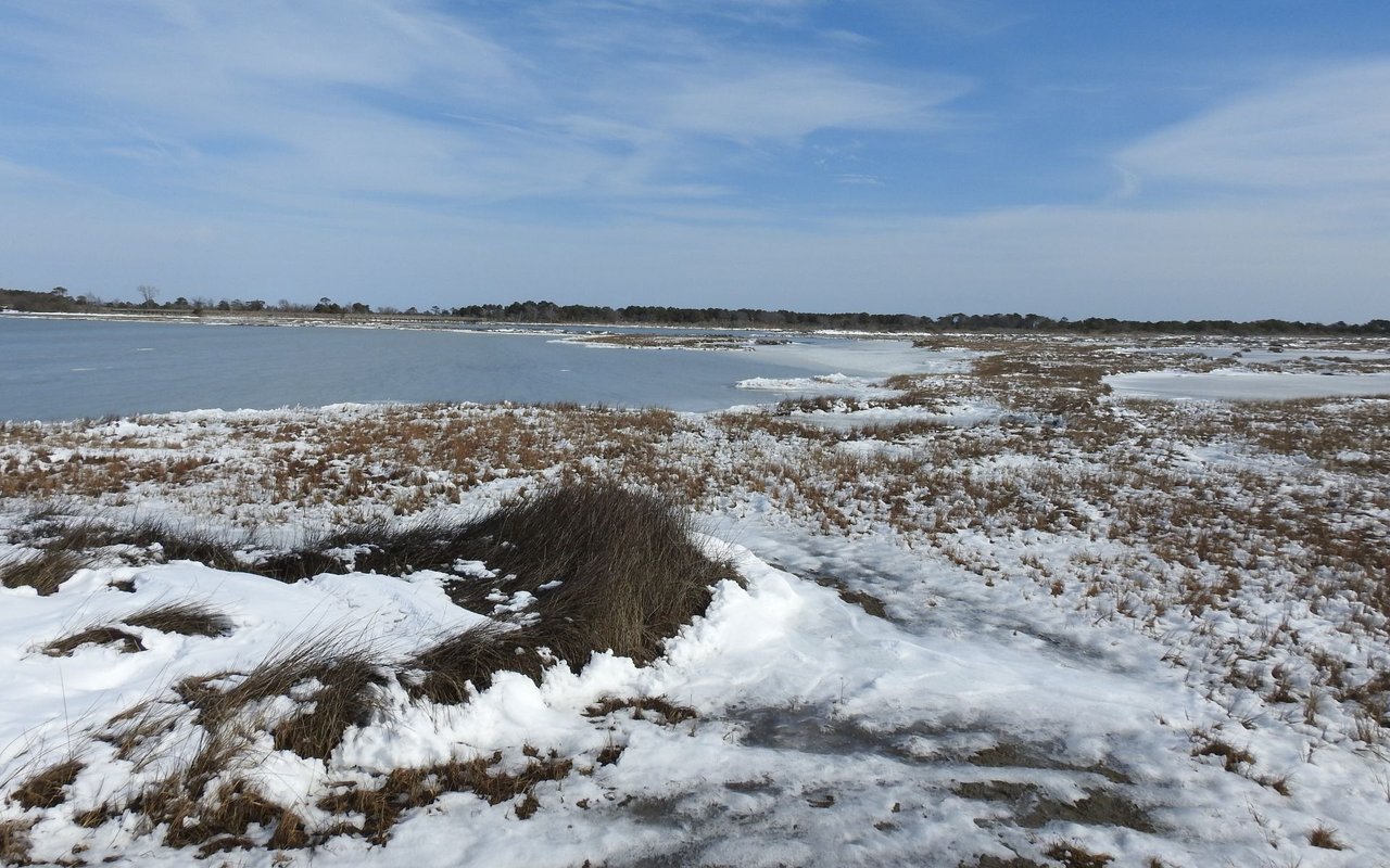 Pocomoke City / Snow Hill