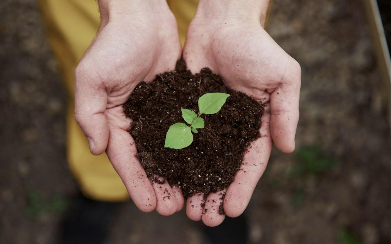 Tips for Making Your Home More Eco-Friendly