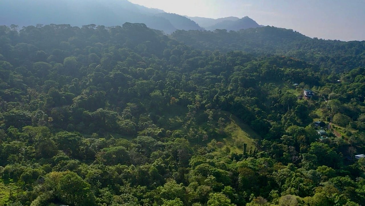 Prime Ocean and Whale tail View Development Land In Uvita