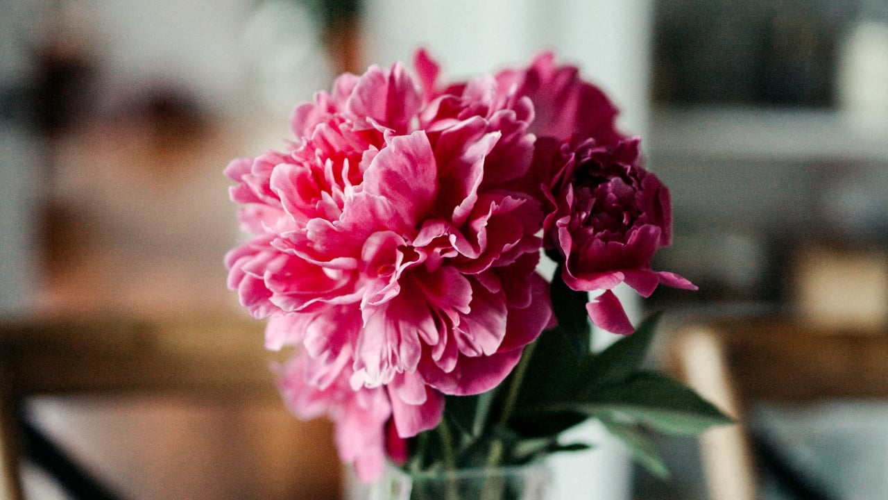 Home is Where Mom Is:          A Mother's Day Story