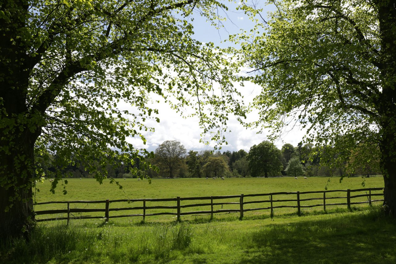 Property Valuation