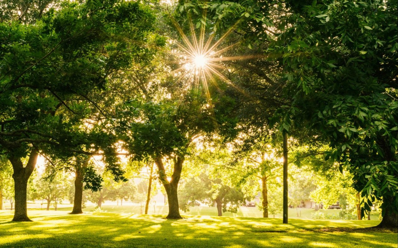 A Guide to Littleton, CO Parks