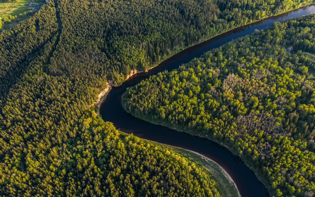 A winding river cuts through dense forest, with a sandy bank along the bend.