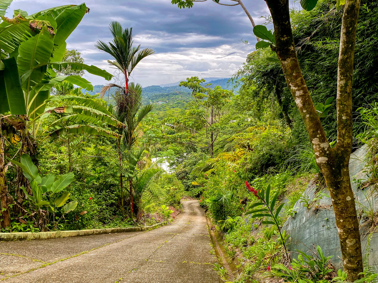 Ocean View Home for Sale in Ojochal with Pool & Jungle Views