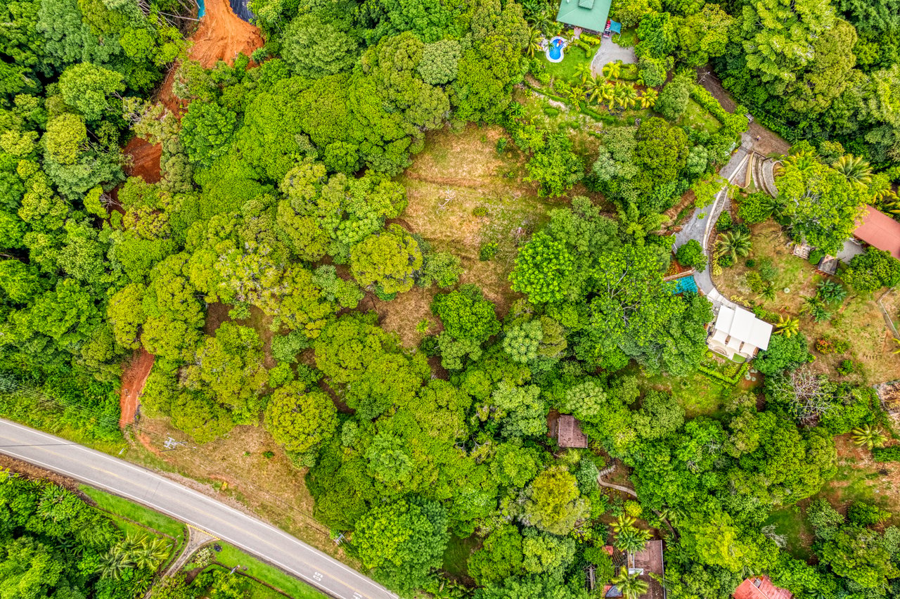 Highway Frontage Commercial & Residential Lot!! PRIME LOCATION! Ojochal